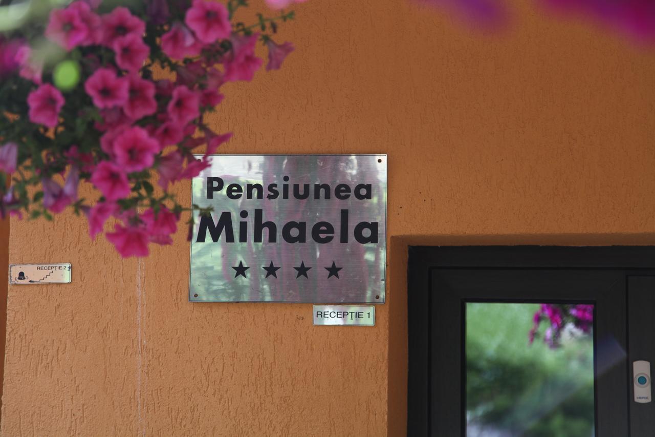 Pensiunea Mihaela Poiana Brasov Eksteriør billede